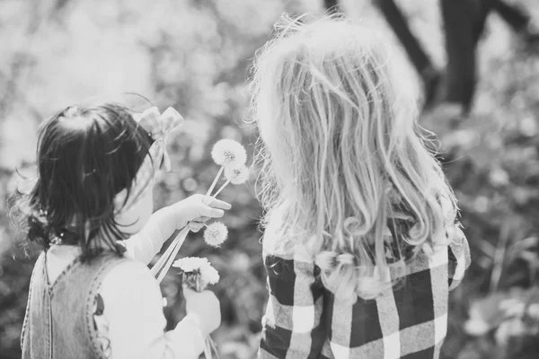 Children pick dandelion flowers in spring or summer park — Stock Photo, Image