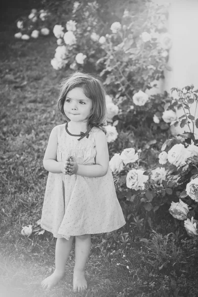 開花のバラの花緑の芝生の上で裸足で立っている子ども — ストック写真