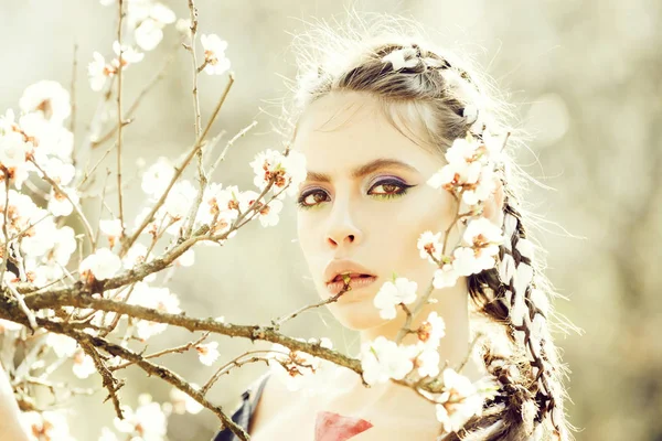 Beyaz kiraz veya kayısı bahar çiçek çiçek açan kadın — Stok fotoğraf