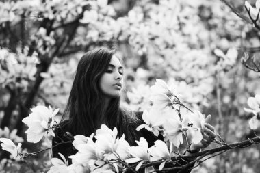 Güzellik ve doğa, gençlik ve tazelik, Bahar ve yaz, Manolya