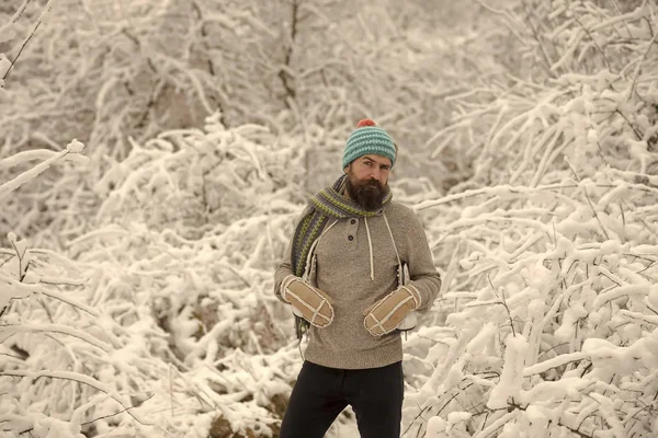 Temperatura, congelamento, frio, queda de neve . — Fotografia de Stock