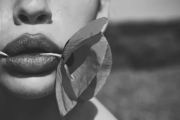 罂粟, 化妆品, 生态学, 性感的嘴唇. — 图库照片