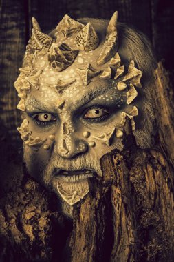 Druid arkasında siyah arka plan üzerine eski kabuğu