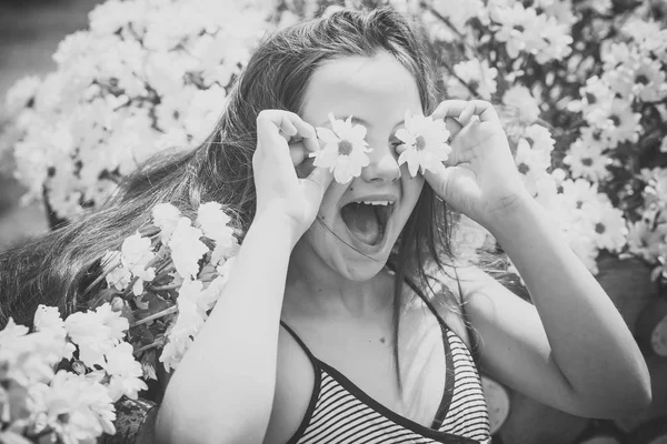 Счастливая девочка с цветами ромашки — стоковое фото