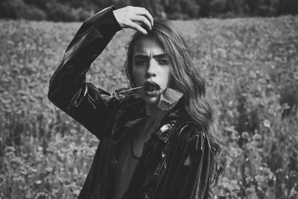 Güzellik, yaz, ilkbahar, haşhaş alan.