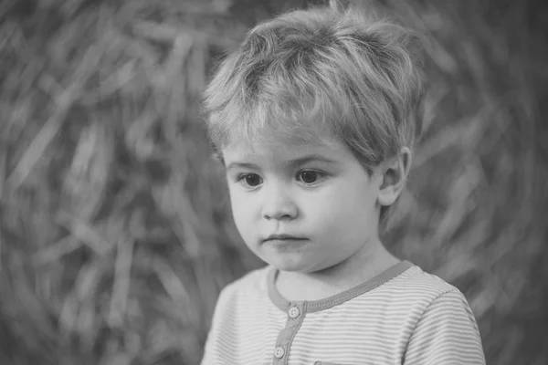 Niño Infancia Juventud Crecimiento Niño Paca Heno Campo Granja Vacaciones —  Fotos de Stock