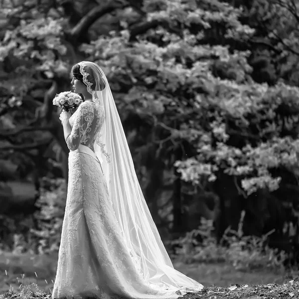 Ormandaki genç gelin