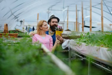 çiçekçi dükkanı. çiçek dükkanı reklam. mutlu çift çiçek dükkanında. çiçekçide sera