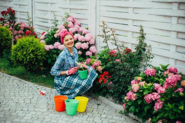 mutlu kadın bahçıvan çiçekli. Sera çiçekler. Çiçek bakım ve sulama. toprak ve gübre. Ortanca. Bahar ve yaz. kadın çiçek bahçesinde bak. Yeşil düşünüyorum