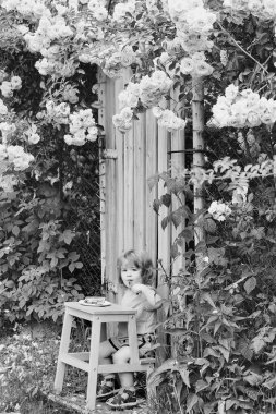 küçük çocuk gül bush yeme