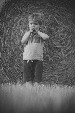 Yaz tatil, seyahat, yolculuk tutkusu.