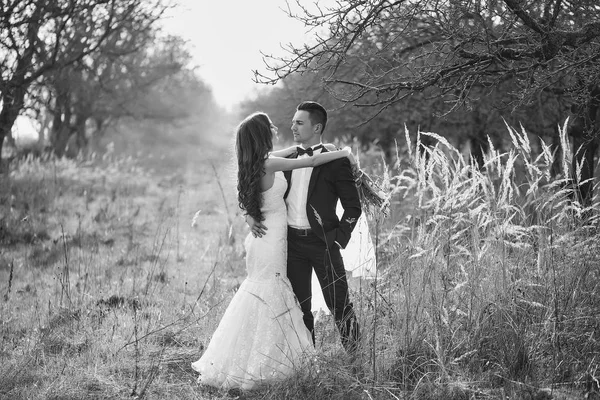 Casamento casal andando ao ar livre — Fotografia de Stock