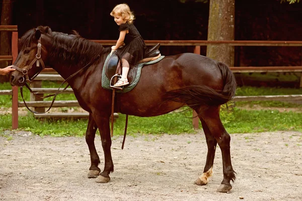 Mädchen Reiten Einem Sommertag Auf Dem Pferd Kind Sitzt Reitersattel — Stockfoto