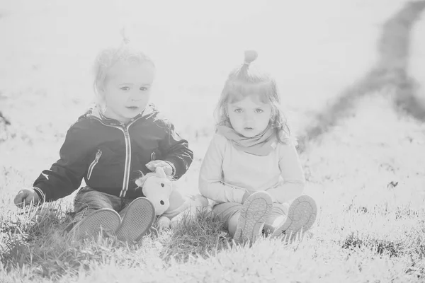 Kız ve erkek kardeş güneşli günde oyuncak at ile oynamak — Stok fotoğraf