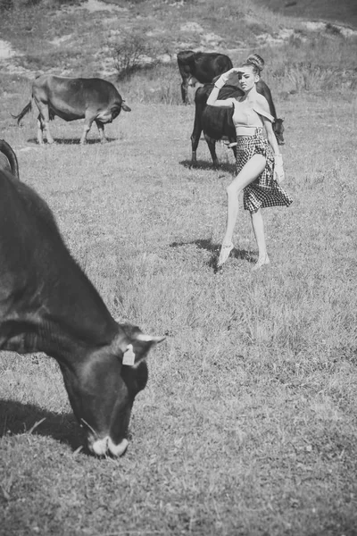 Kráva, Žena v krajině pastvin, ekologie. — Stock fotografie