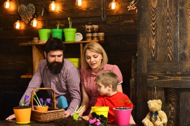 Çiçek Bakımı sulama. Toprak gübre. bahar çiçekleri ile mutlu bahçıvanlar. kadın, adam ve küçük çocuk çocuk Doğayı seviyor. Aile günü. Sera. Baba ve anne ile oğul. Çok meşgul