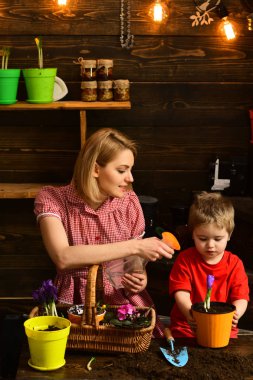 sera. Anne ve oğlu serada iş. sera ve Bahçe. sera içinde kendine güvenen bahçıvanlar.