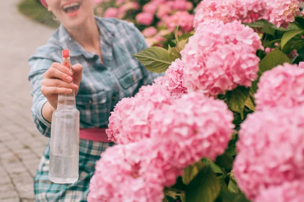 幸せな女庭師の花。温室の花。花の世話と水やり。土壌と肥料。アジサイ。春と夏。庭の花の世話を女性。花は、良いケアを必要 — ストック写真