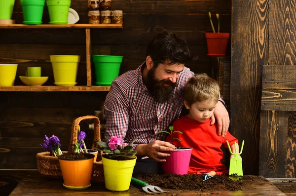 髭の男と小さな男の子は、自然を愛する。春の花を持つ幸せな庭師。家族の日。温室効果。父と息子。花のケアに水をまきます。土壌肥料。花をいける — ストック写真