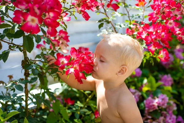 Tavaszi virágok. Gyermekkori. Gyermeknap. Kis baba fiú. Új élet-koncepció. Tavaszi szünidő. Nyári. Anyák, vagy a női nap. Kisfiú: nyíló virágok. A kellemes tavaszi nap — Stock Fotó