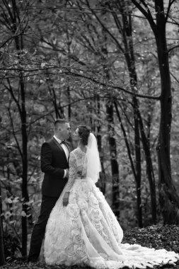 Düğün iki orman içinde