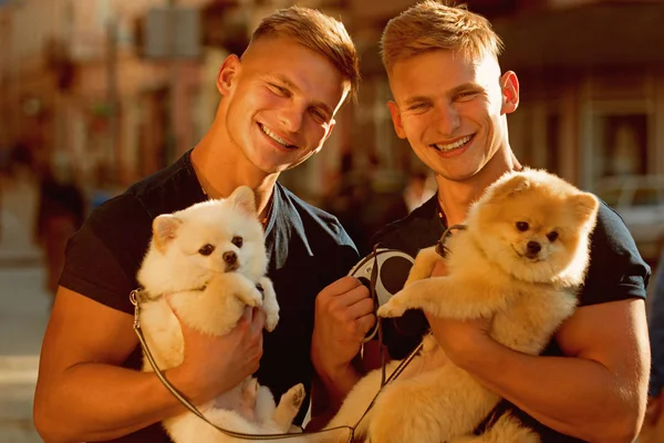 Psi jim přinese radost. Muži s psí mazlíčky. Happy twins s svalnatý vzhled. Spitz psi milují společnost své rodiny. Šťastná rodina na procházce. Dvojčata muži drží Chovné psy — Stock fotografie