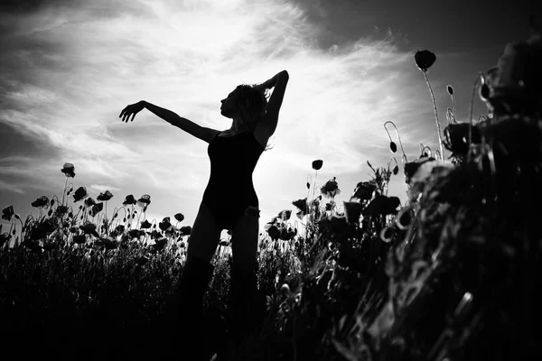 Красива дівчина в квітковому полі макового насіння — стокове фото