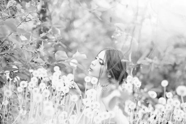 Campo de diente de león y chica bonita con maquillaje de moda — Foto de Stock