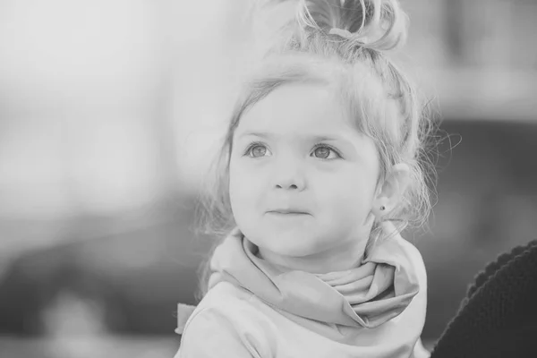 Beleza, olhar, penteado — Fotografia de Stock