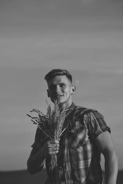 Harvesting and agriculture, wheat harvest, thanksgiving. — Stock Photo, Image