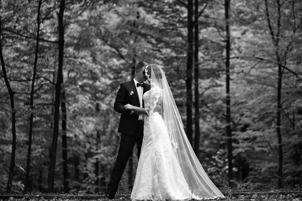 Genç evlilik çifti