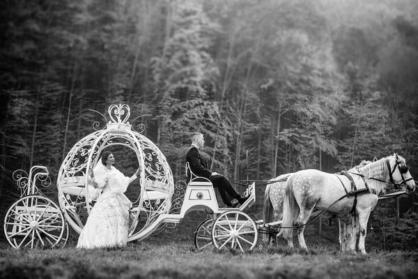 Wedding couple in carriage