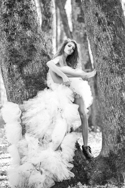 Glamour kadının yanına ağaç — Stok fotoğraf