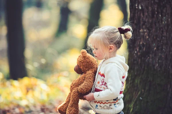 Маленька дитина йде стежкою з плюшевим ведмедем з осіннім листям і сонячним світлом, що сяє на фоні — стокове фото
