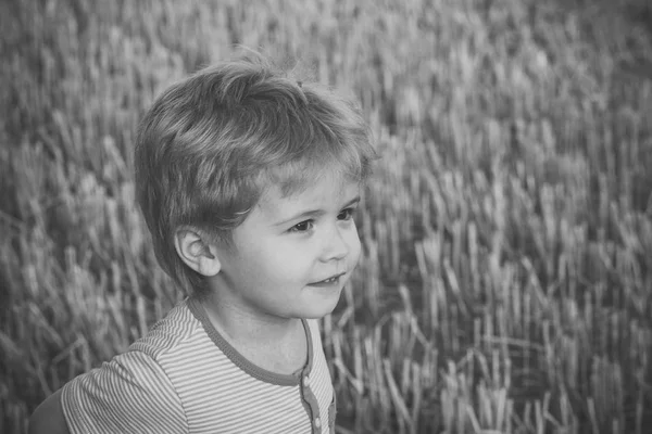 Liten pojke med söta ansikte, blont hår på nyklippt gräs — Stockfoto