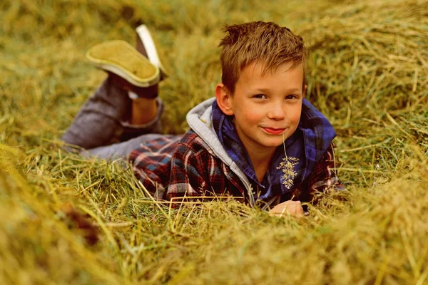 Jag är en pojke i byn. Liten pojke i byn. Liten pojke njuta av byn liv i landsbygden. Litet barn ligga i hö i gården lada. Ett underbart sätt att koppla av — Stockfoto