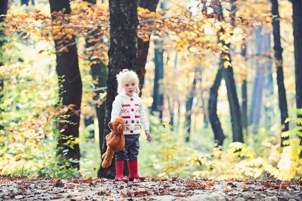 Niña en el bosque de otoño. Niño con osito de peluche en bosques de cuento de hadas. Niño con juguete disfrutar del aire libre al aire libre. Infancia, juego, diversión, descanso activo y actividad — Foto de Stock