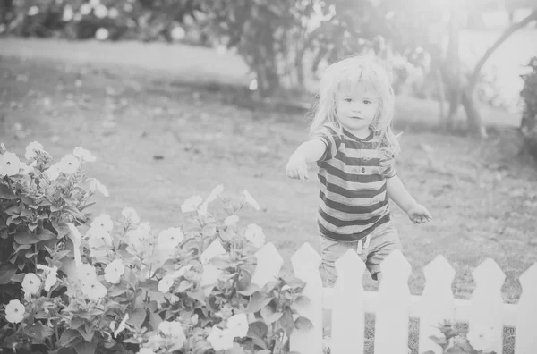 Happy small boy child outdoor near white wooden fence — Stock Photo, Image