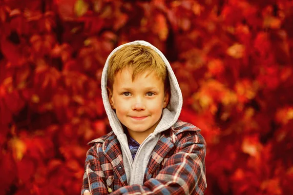 Hösten är tiden för tillbaka till skolan. Liten skolpojke. Litet barn njuta av höstsäsongen. Bedårande barn på höstlandskap. Hej hösten — Stockfoto