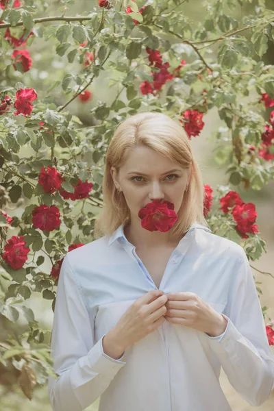 Růže se těší, až se daří. Letní květina kvést. Sexy dívka s červenými květy v letní zahradě. Rozkošný dívka s květ květ. Hezká dívka v kvetoucí růže bush — Stock fotografie