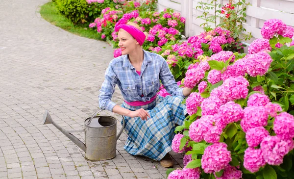 Kasvihuonekukkia. Kukkahoitoa ja juottamista. maaperä ja lannoitteet. nainen hoitaa kukkia puutarhassa. onnellinen nainen puutarhuri kukkia. Hortensiassa. Kevät ja kesä. Työskentely vihreässä ympäristössä — kuvapankkivalokuva