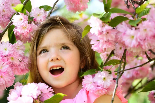 Dia activo. Na Primavera. previsão meteorológica. rosto e cuidados com a pele. alergia às flores. Menina na primavera ensolarada. Criança pequena. Beleza natural. Dia das crianças. Moda menina de verão. Infância feliz — Fotografia de Stock