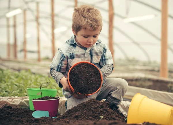 生態学ケア。木や花を植えることによって生態学ケア。生態学ケア概念。小さな子供の農夫生態気eny ホームのための完全なギフト. — ストック写真