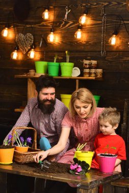 Aile günü. Sera. Çiçek Bakımı sulama. Toprak gübre. kadın, adam ve küçük çocuk çocuk Doğayı seviyor. bahar çiçekleri ile mutlu bahçıvanlar. Baba ve anne ile oğul. Aile için zaman yok
