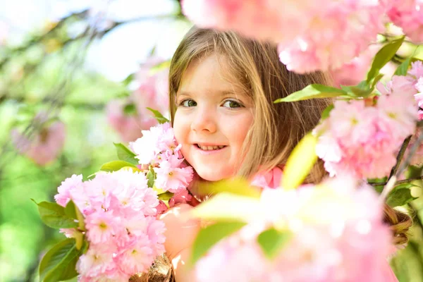 Bahar. hava tahmini. yüz ve cilt bakımı. çiçekler alerjisi. Güneşli Bahar, küçük kız. Küçük çocuk. Doğal güzellik. Çocuk günü. Yaz kız moda. Mutlu çocukluk. Mükemmel bahar günü — Stok fotoğraf