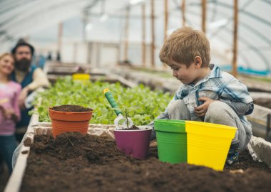 polytunnel çiftçi. zemin üzerinde çalışan polytunnel çiftçi küçük bir çocuk. polytunnel, küçük çiftçi eser. polytunnel çiftçi ailesi ile. Saksılı bitki ile çocuk.