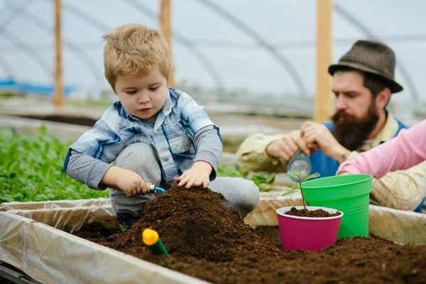 Eco trädgård. Eco trädgård arbetstagare av far och son. Eco trädgård odling. familjen fungerar i eco trädgård. blommor-presentation. — Stockfoto