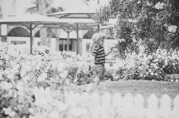 Дитина або маленький хлопчик на відкритому повітрі біля білого дерев'яного паркану — стокове фото