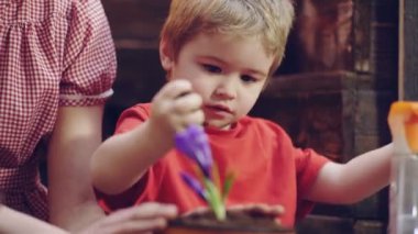 Tencere çiçek bitki bir çocuk bahçıvan kapatın. Anne ve oğlu Bahçe, çiçek renkli kaplarda dikim nişanlandık. Bahçe kavramı