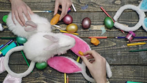 Mãos fechadas de uma família que alimenta o coelho por cenouras no contexto de ovos de Easter. Mãe, pai e filho estão pintando ovos. Ovos de Páscoa em fundo de madeira . — Vídeo de Stock